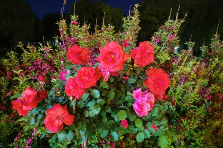 IMG_20260501_195830